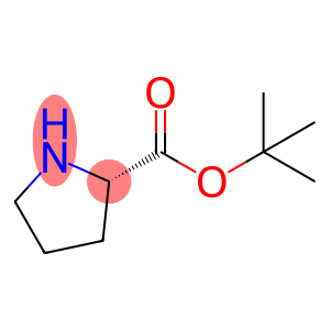 (S)-PYRROLIDINE-2-CARBOXYLIC ACID TERT-BUTYL ESTER