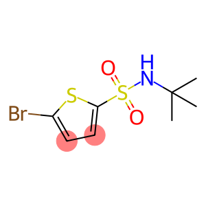 N-tert-Butyl-5-bromothiophene sulfonamide