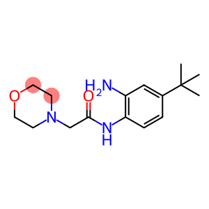 N-[2-Amino-4-(tert-butyl)phenyl]-2-(morpholin-4-yl)acetamide