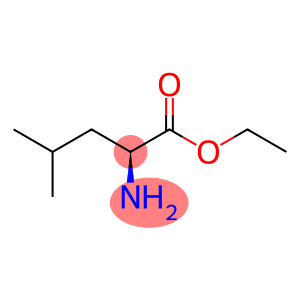 乙基L-亮氨酸酯