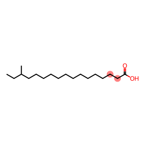 Heptadecanoic acid, 15-methyl-