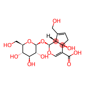 (1S)-1α-(β-D-Glucopyranosyloxy)-1,4a,5,7aα-tetrahydro-4aα-hydroxy-7-(hydroxymethyl)cyclopenta[c]pyran-4-carboxylic acid
