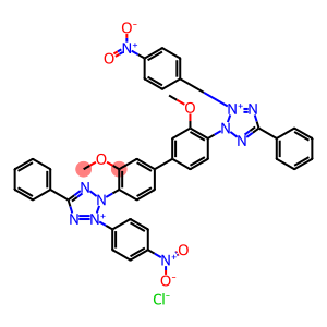 氯化硝基四氮唑