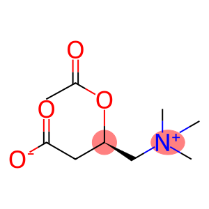 (R)-3-Carboxylato-2-acetoxy-N,N,N-trimethyl-1-propanaminium