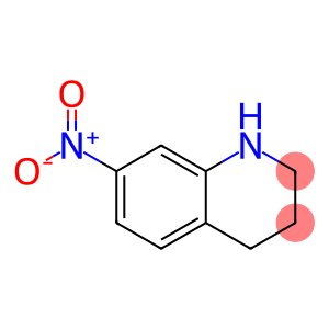 7-硝基-四氢喹啉