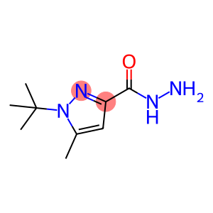 1-叔丁基-5-甲基-吡唑-3-羧肼