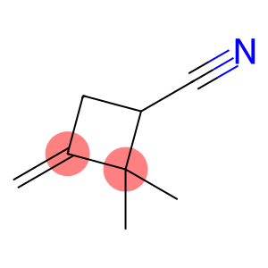 2,2-Dimethyl-3-methylenecyclobutane-1-carbonitrile
