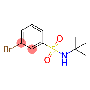 Benzenesulfonamide, 3-bromo-N-(1,1-dimethylethyl)-