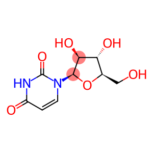 1-(β-D-Arabinopyranosyl)uracil