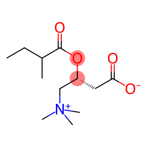 3-(2-Methylbutanoyloxy)-4-trimethylazaniumylbutanoate