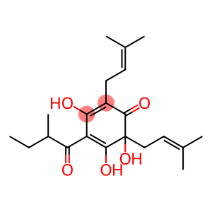 3,5,6-trihydroxy-2-(2-methylbutanoyl)-4,6-bis(3-methylbut-2-enyl)cyclohexa-2,4-dien-1-one