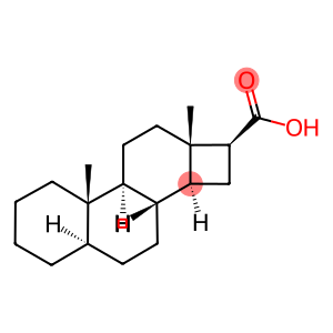 D-Norandrostane-16-carboxylic acid, (5α,16β)- (9CI)