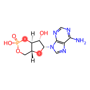cyclic 9 beta-D-arabinosyladenine 3',5'-monophosphate