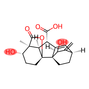 (1S,11S)-1,3,4,5,6,7,9,9aβ-Octahydro-2α,11-dihydroxy-1β-methyl-10-methylene-13-oxo-4aα,1-(epoxymethano)-4bβ,7β-ethano-2H-fluorene-9β-carboxylic acid