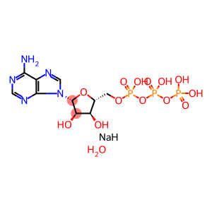 5μ-ATP-Na2,  ATP  hydrate  disodium  salt
