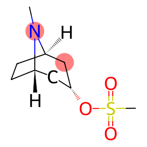 (1R,3r,5S)-8-甲基-8-氮杂双环并3.2.1]辛-3-基甲磺酸盐