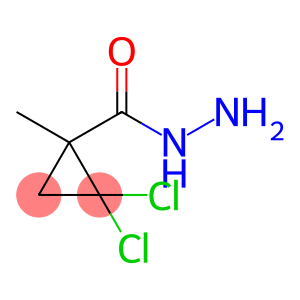 2,2-DICHLORO-1-METHYLCYCLOPROPANECARBOHYDRAZIDE