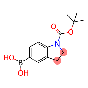 1H-Indole-1-carboxylic acid, 5-borono-2,3-dihydro-, 1-(1,1-diMethylethyl) ester, supplied as pinacol boric acid ester