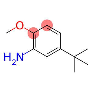 5-叔丁基-邻茴香胺
