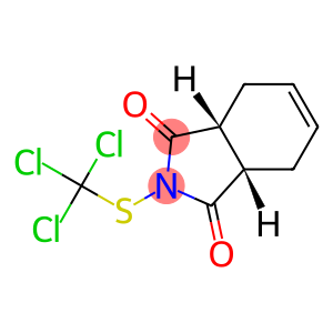 4-Cyclohexene-1,2-dicarboxylic acid, imide, N(trichloromethylthio)-