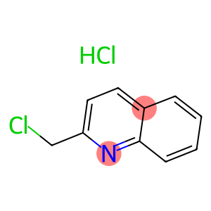α-chloroquinaldine hydrochloride
