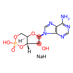 3′,5′-环单磷酸腺苷钠盐