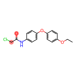 2-chloro-N-[4-(4-ethoxyphenoxy)phenyl]-