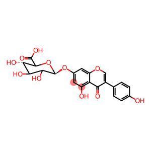 Genistein-7-O-glucuronide