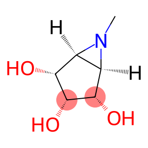 6-Azabicyclo[3.1.0]hexane-2,3,4-triol, 6-methyl-, (1alpha,2alpha,3alpha,4alpha,5alpha)- (9CI)