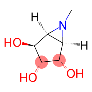 6-Azabicyclo[3.1.0]hexane-2,3,4-triol, 6-methyl-, (1alpha,2alpha,3alpha,4beta,5alpha)- (9CI)