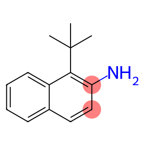 1-tert-Butylnaphthalen-2-amine