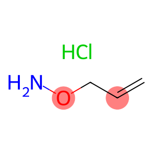 O-(2-PROPENYL)HYDROXYLAMINE HYDROCHLORIDE