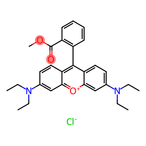 3,6-双(二乙氨基)-9-[2-(甲氧羰基)苯基占吨翁氯化物
