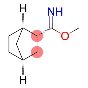 Bicyclo[2.2.1]heptane-2-carboximidic acid, methyl ester, (1R,2R,4S)-rel- (9CI)