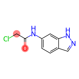 2-氯-N-1H-吲唑-6-基乙酰胺