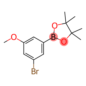 2-(3-溴-5-甲氧基苯基)-4,4,5,5-四甲基-1,3,2-二氧杂硼烷
