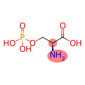 L-2-氨基-3-羟基丙酸3-磷酸