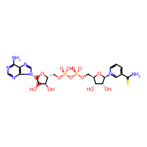 硫代辅酶,还原烟酰胺次黄嘌呤二核苷酸