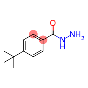 4-叔丁基苯甲酸肼