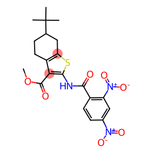 methyl 2-({2,4-dinitrobenzoyl}amino)-6-tert-butyl-4,5,6,7-tetrahydro-1-benzothiophene-3-carboxylate