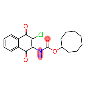 CYCLOOCTYL N-(3-CHLORO-1,4-DIOXO-1,4-DIHYDRO-2-NAPHTHALENYL)CARBAMATE