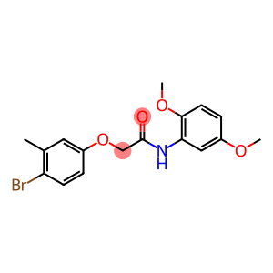 2-(4-bromo-3-methylphenoxy)-N-(2,5-dimethoxyphenyl)acetamide