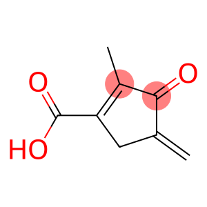 1-Cyclopentene-1-carboxylicacid,2-methyl-4-methylene-3-oxo-(9CI)