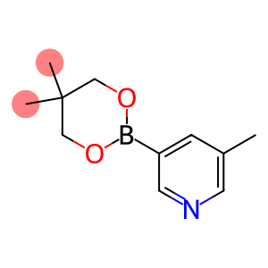 3-(5,5-Dimethyl-1,3,2-dioxaborinan-2-yl)-5-methylpyridine