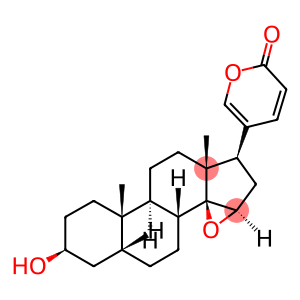 (3beta,5beta,8xi,9xi,15beta)-3-hydroxy-14,15-epoxybufa-20,22-dienolide