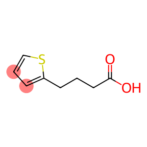 4-(2-噻嗯基)丁酸