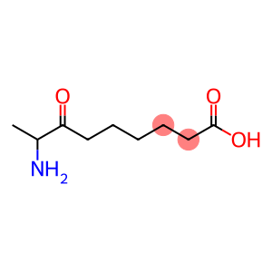 8-Amino-7-oxononanoic acid