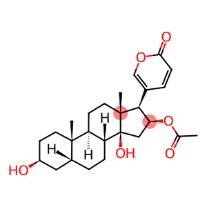 Bufa-20,22-dienolide, 16-(acetyloxy)-3,14-dihydroxy-, (3beta,5beta,16beta)-