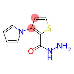 2-Thiophenecarboxylicacid,3-(1H-pyrrol-1-yl)-,hydrazide(9CI)