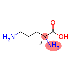 L-Ornithine, 2-methyl- (9CI)